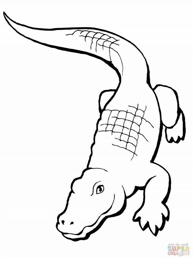 Alligator seen from above coloring page