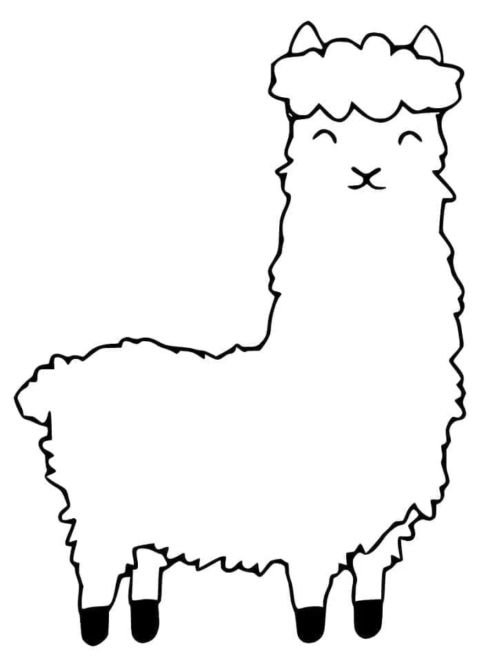 Alpaca standing with a fluffy coat coloring page
