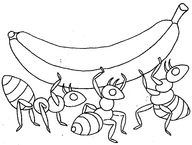 Ants carrying a giant banana coloring page Ants carrying a giant banana coloring page