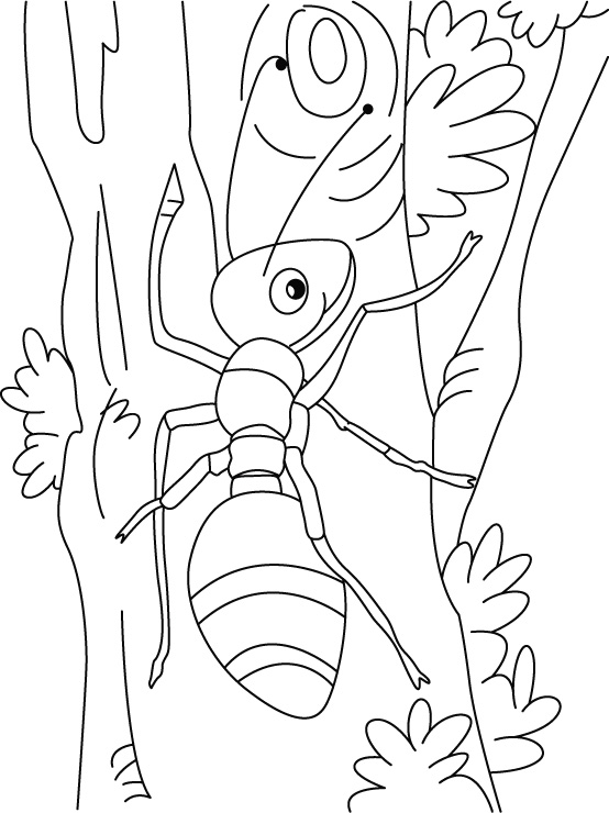 Ant climbing a tree trunk coloring page Ant climbing a tree trunk coloring page