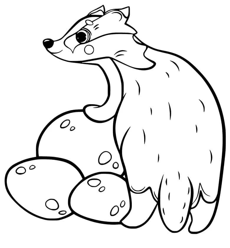 Badger standing near a pile of rocks coloring page