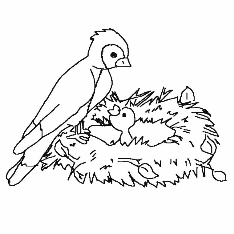Bird perched by nest with baby chick coloring page