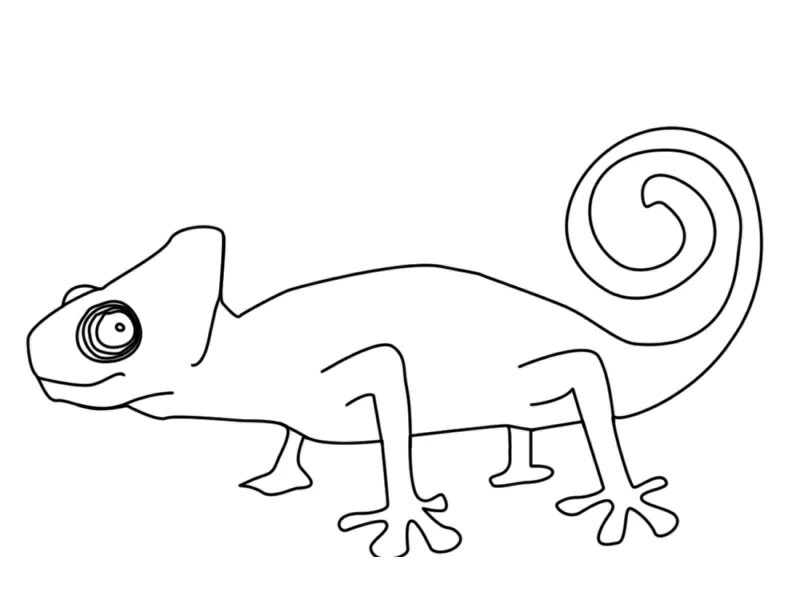 Chameleon walking with curled tail coloring page