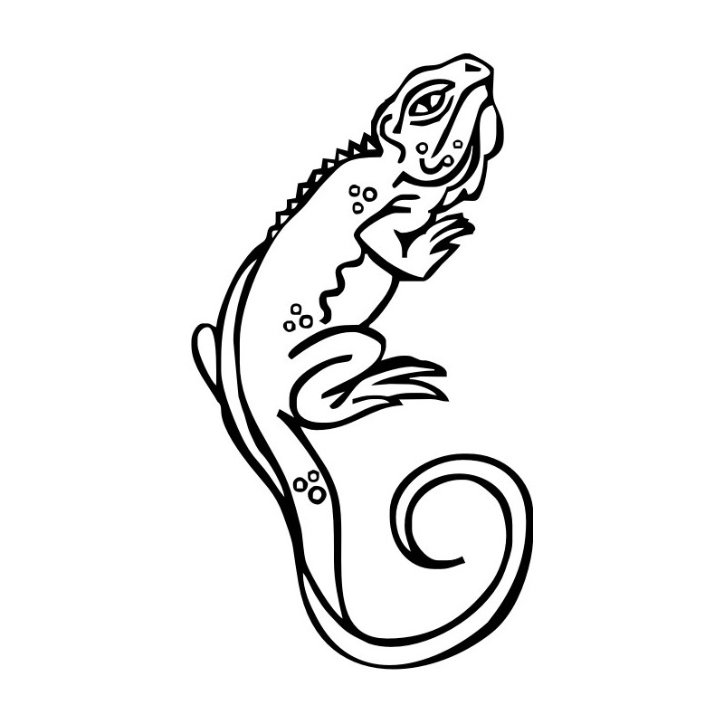 Chameleon with a spiral tail coloring page