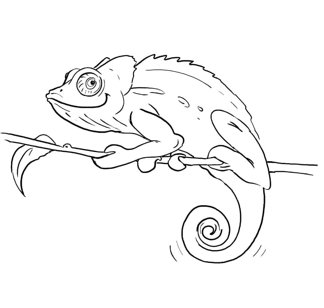 Chameleon perched on a branch coloring page
