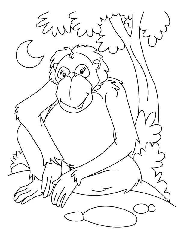 Chimpanzee sitting under a tree at night coloring page