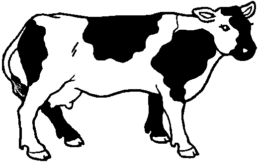 Cow standing calmly in profile coloring page