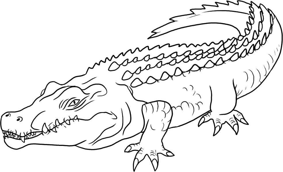 Crocodile walking with mouth open coloring page