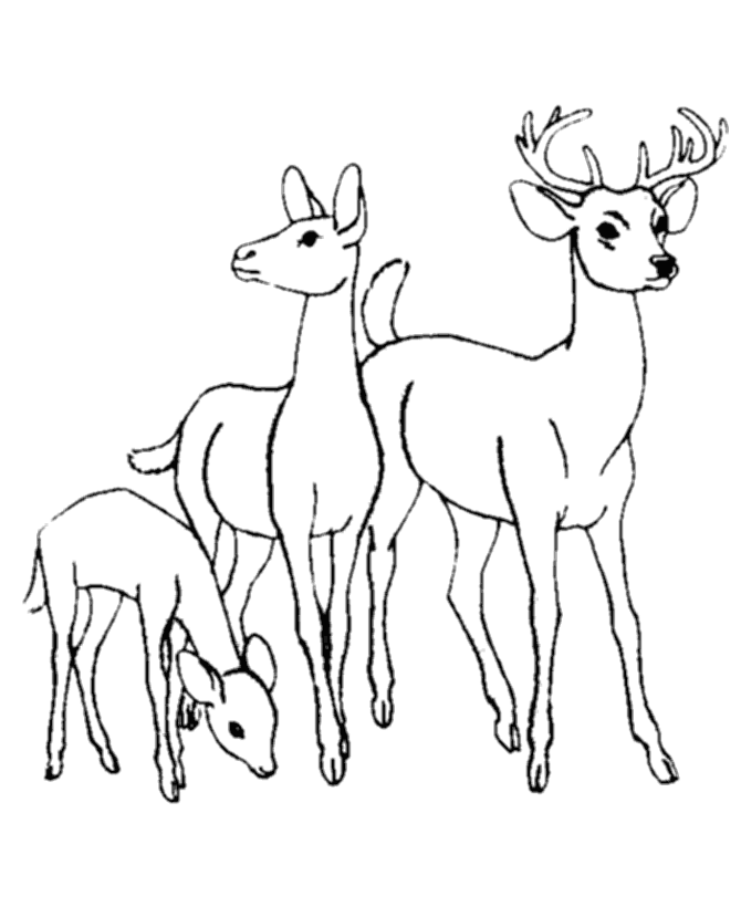 Deer family standing together coloring page Deer family standing together coloring page