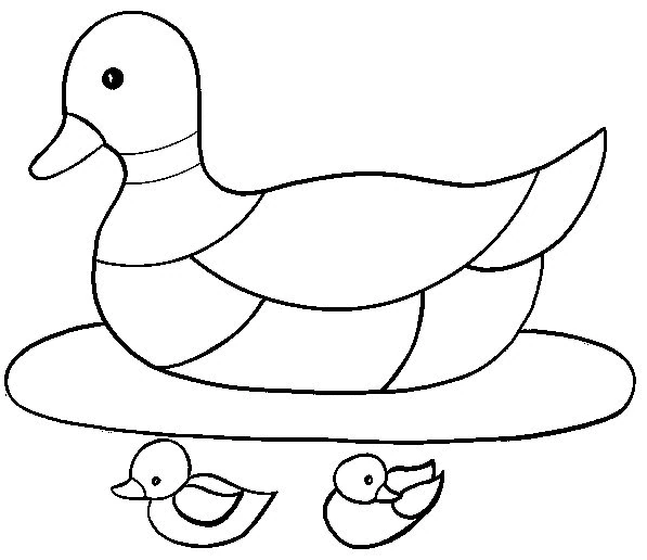 Duck floating with two little ducklings coloring page