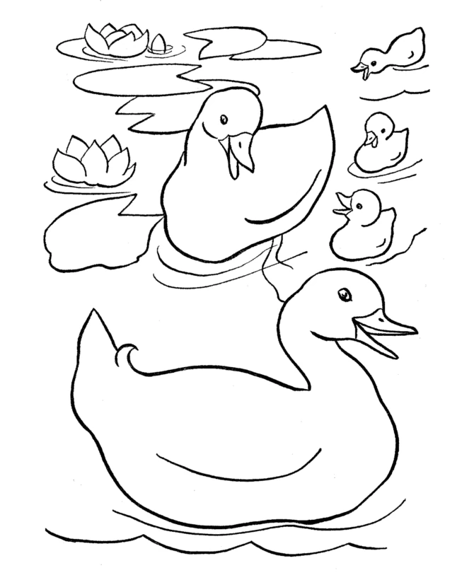 Duck family swimming on a pond coloring page