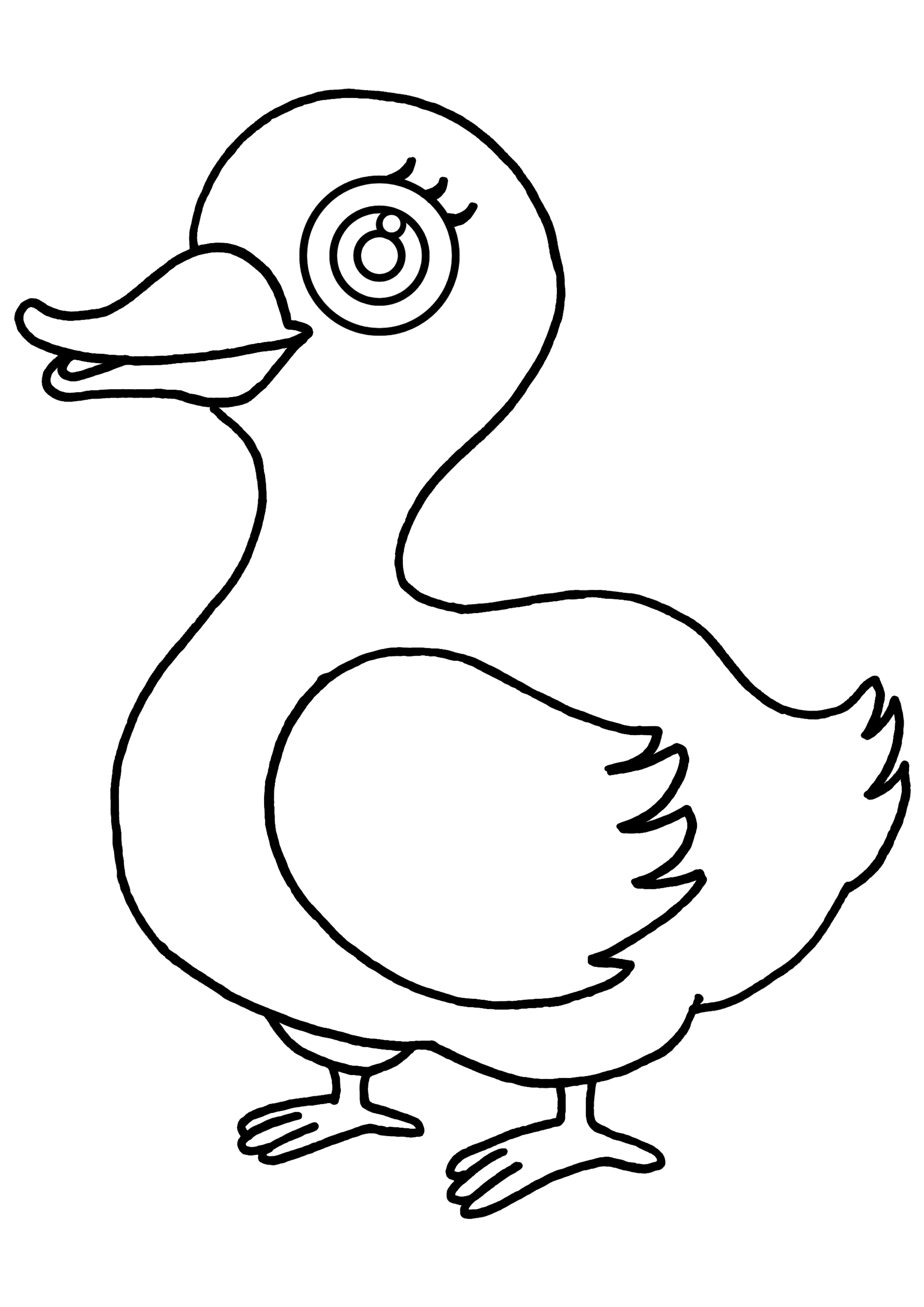 Duck standing with long curved neck coloring page