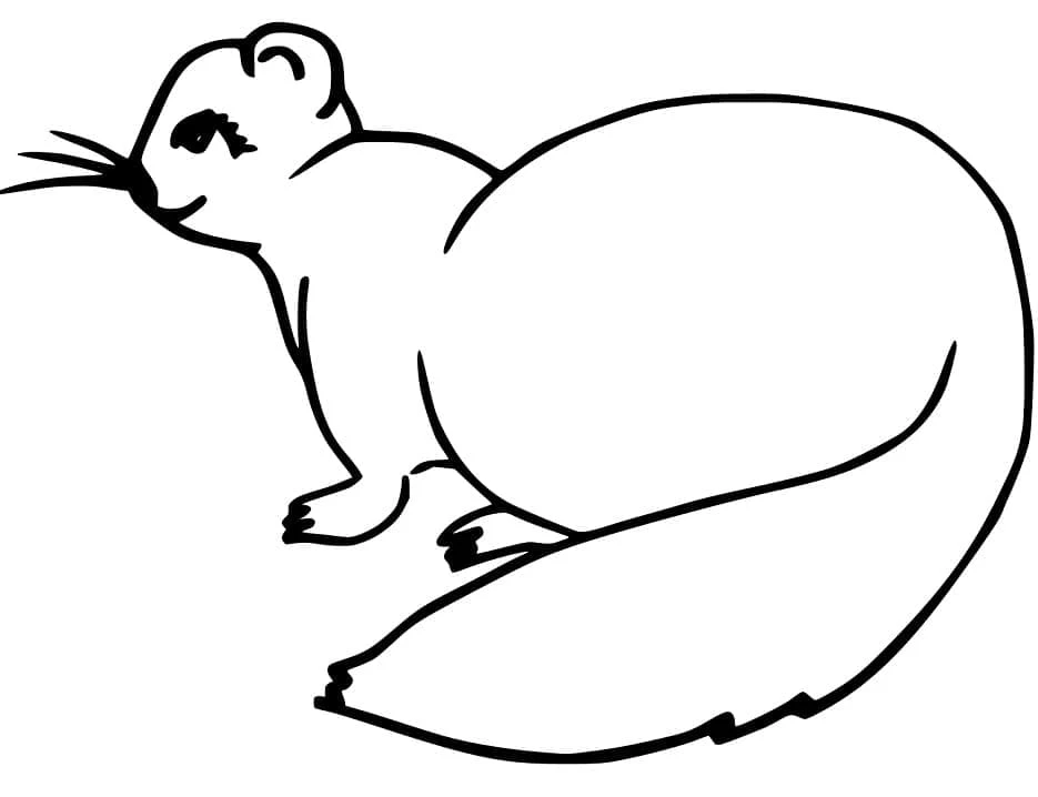 Ferret with a long curled tail coloring page