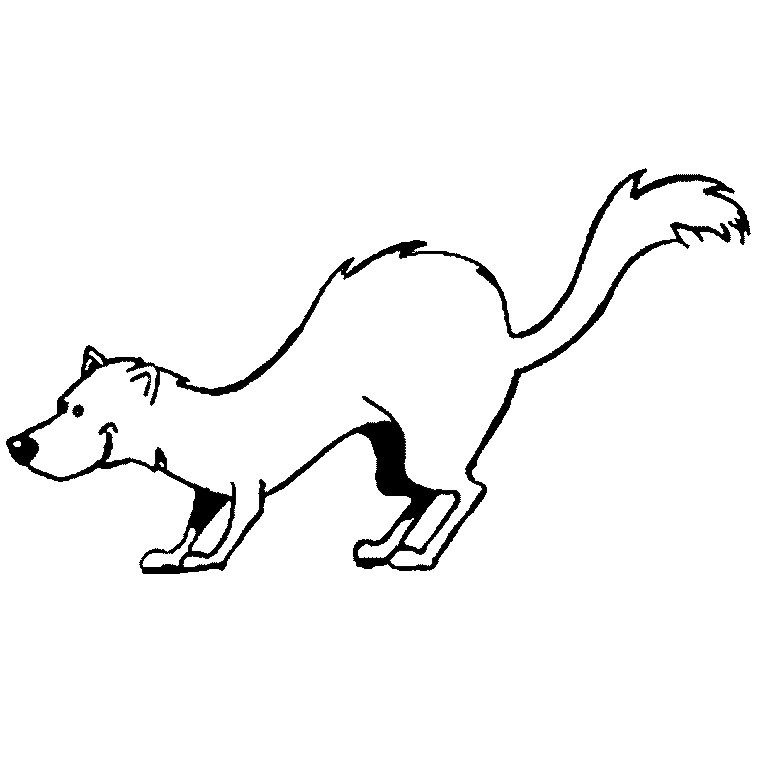 Ferret walking with arched back and bushy tail coloring page