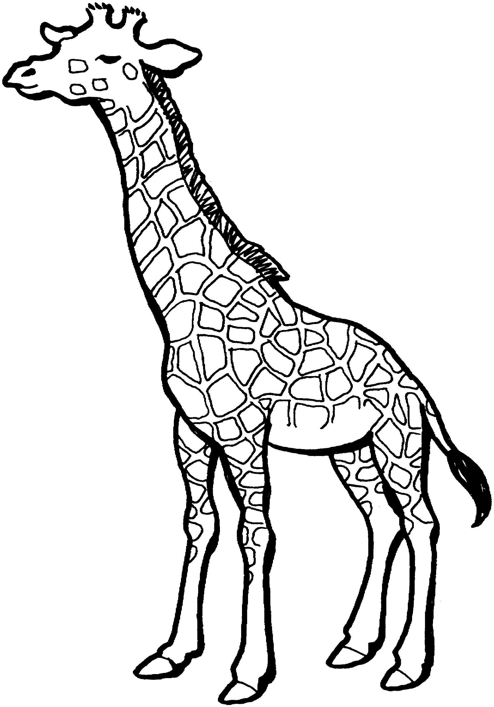 Giraffe standing tall coloring page