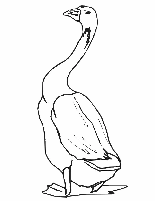 Goose standing with long neck raised coloring page