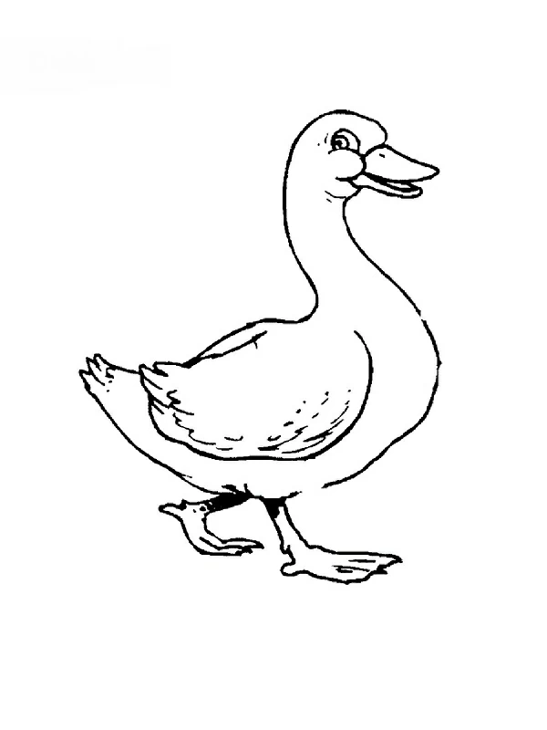Goose walking with beak open coloring page