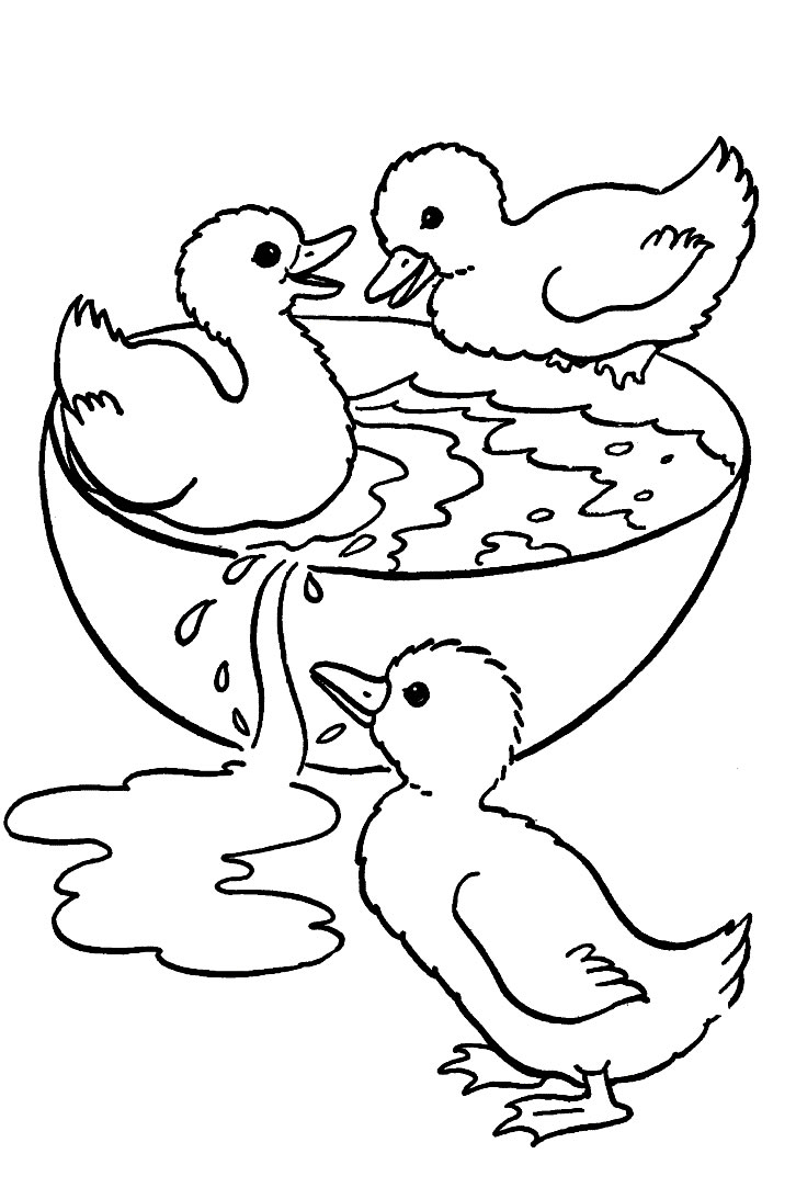 Goose chicks playing in a water bowl coloring page