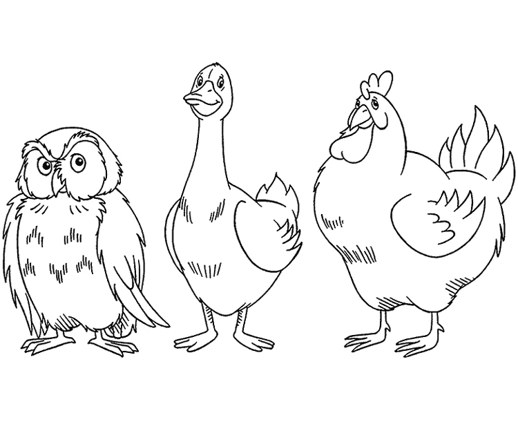 Goose standing between an owl and a hen coloring page