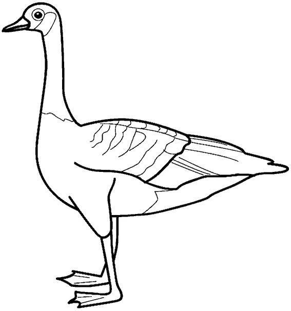 Goose standing on the farm coloring page