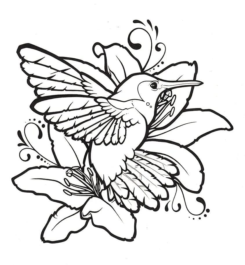 Humming-bird flying near lily flowers coloring page