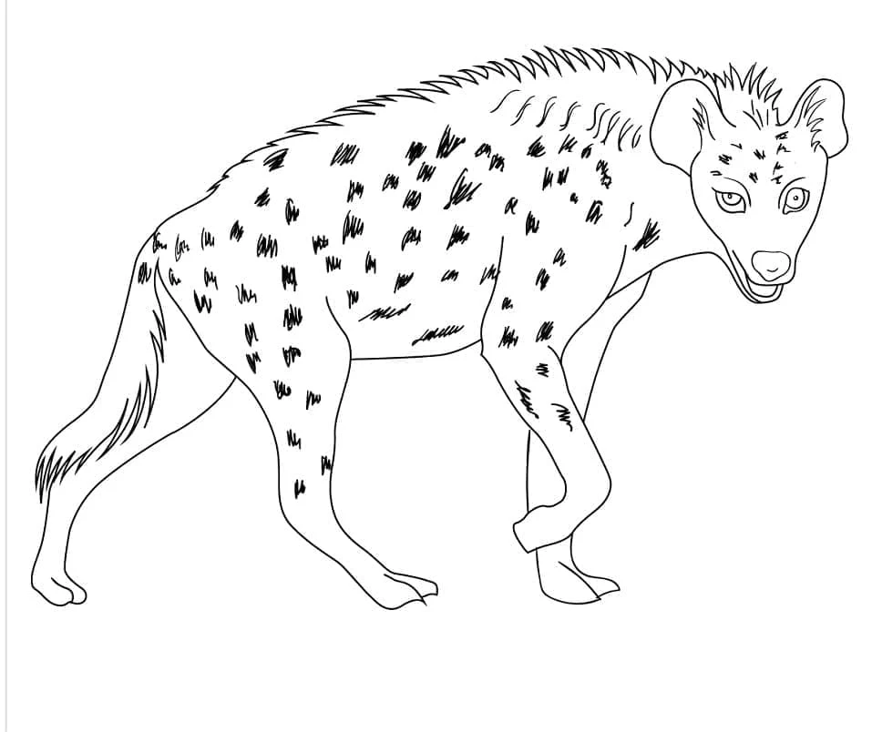 Hyena walking with spotted coat coloring page Hyena walking with spotted coat coloring page