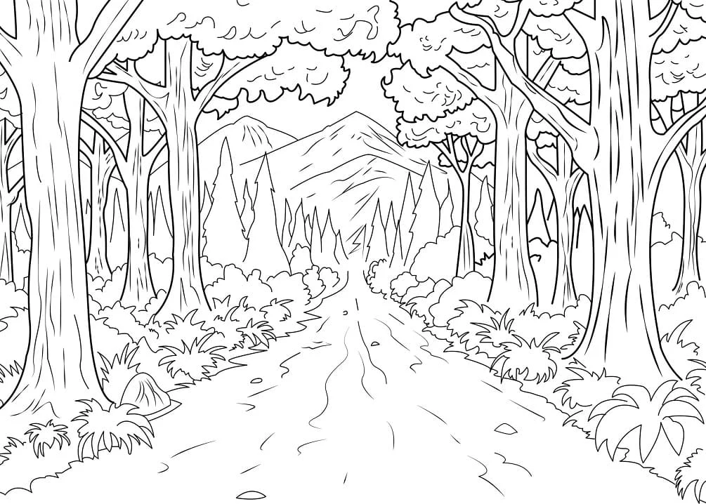 Path through a jungle forest coloring page