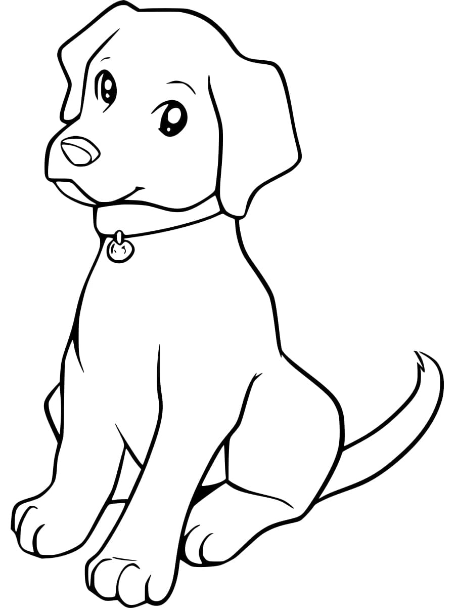 Labrador sitting and looking up coloring page