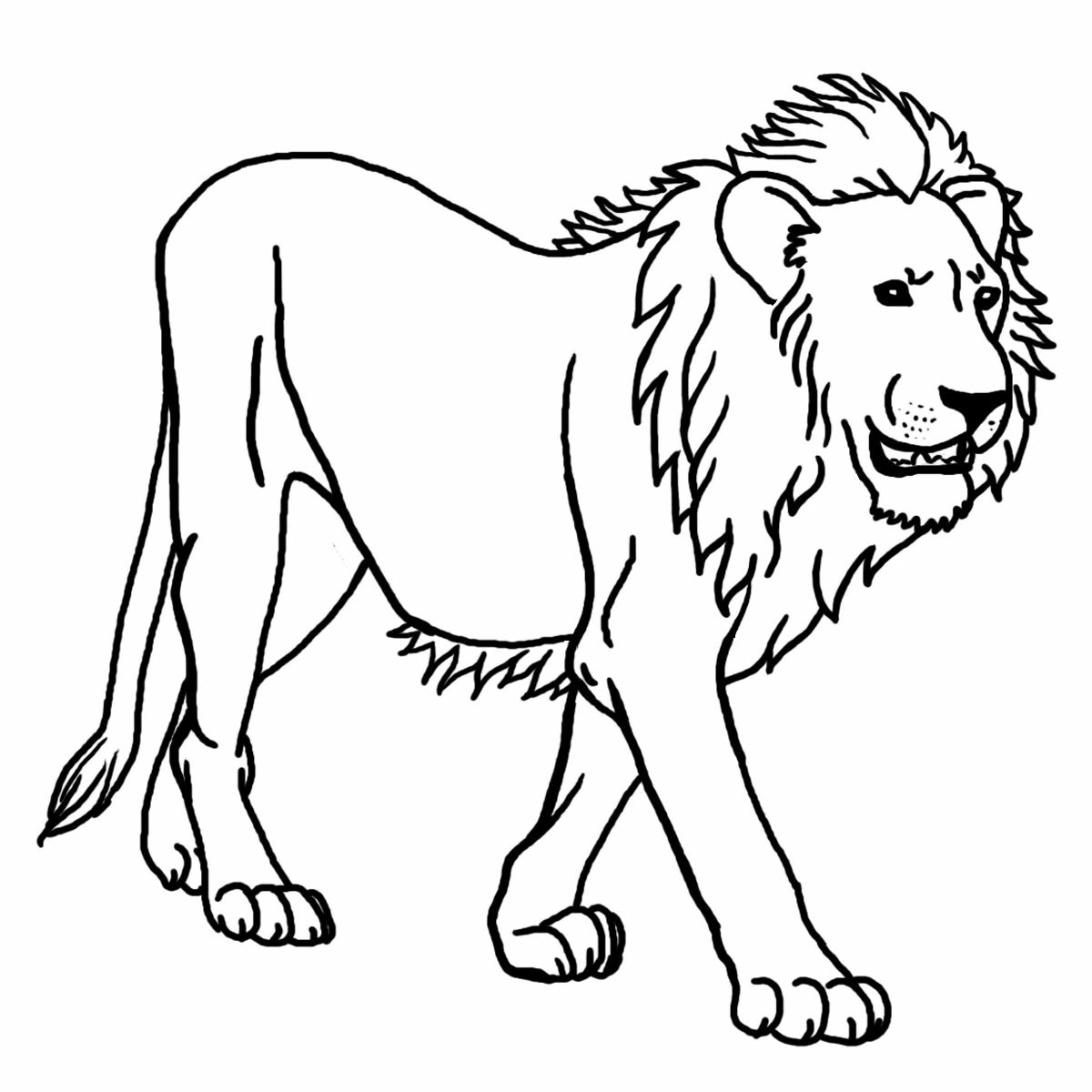 Lion walking with a full mane coloring page