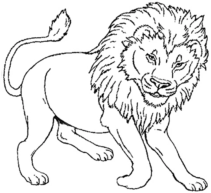 Lion walking with a thick mane coloring page
