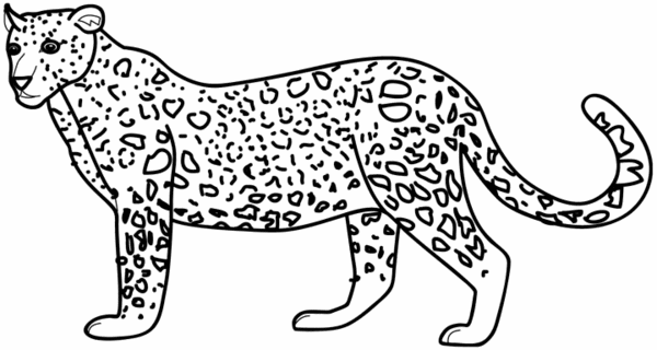 Panther standing with spotted coat coloring page