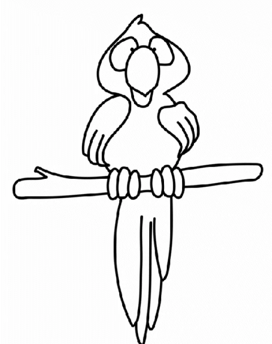 Parrot perched facing forward on a branch coloring page