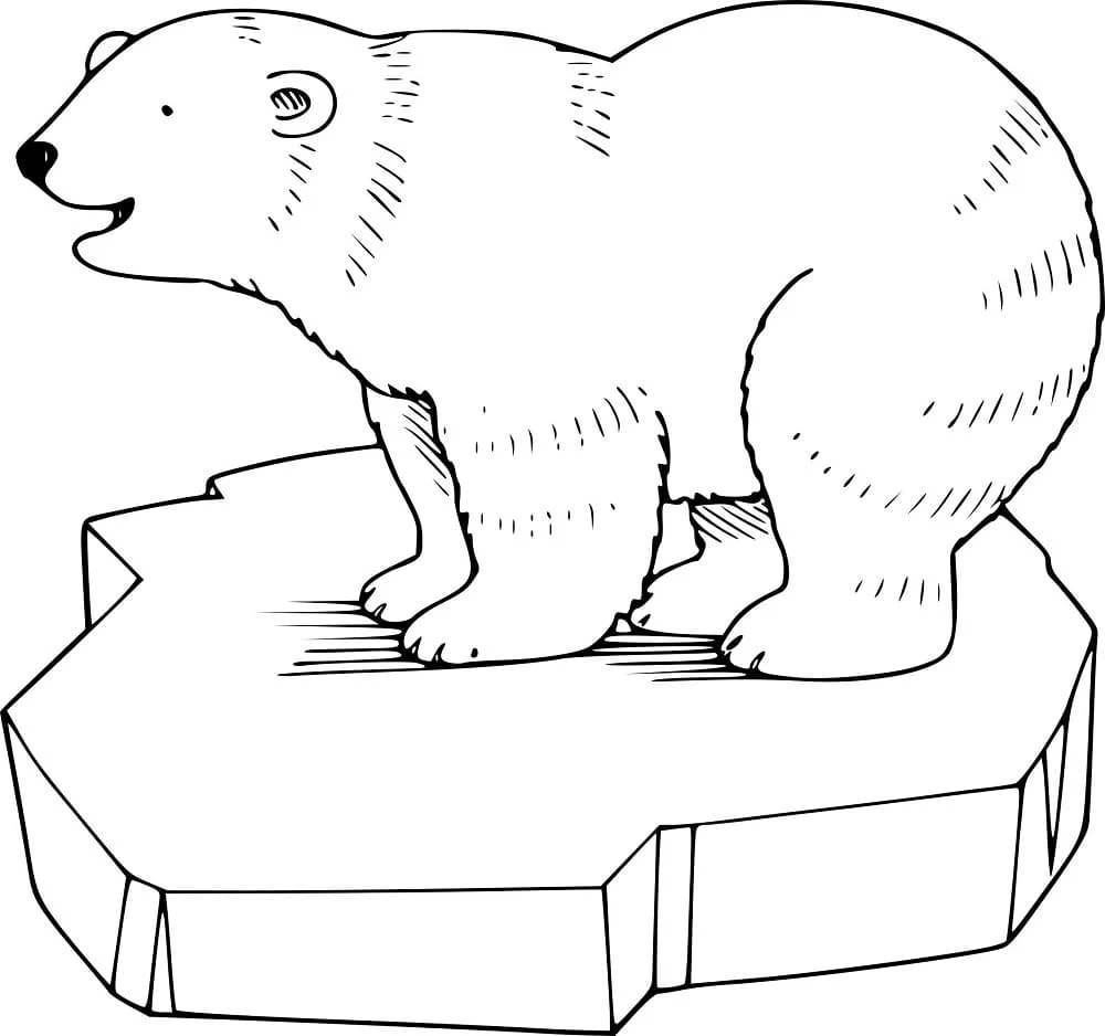 Polar Bear standing on an ice floe coloring page