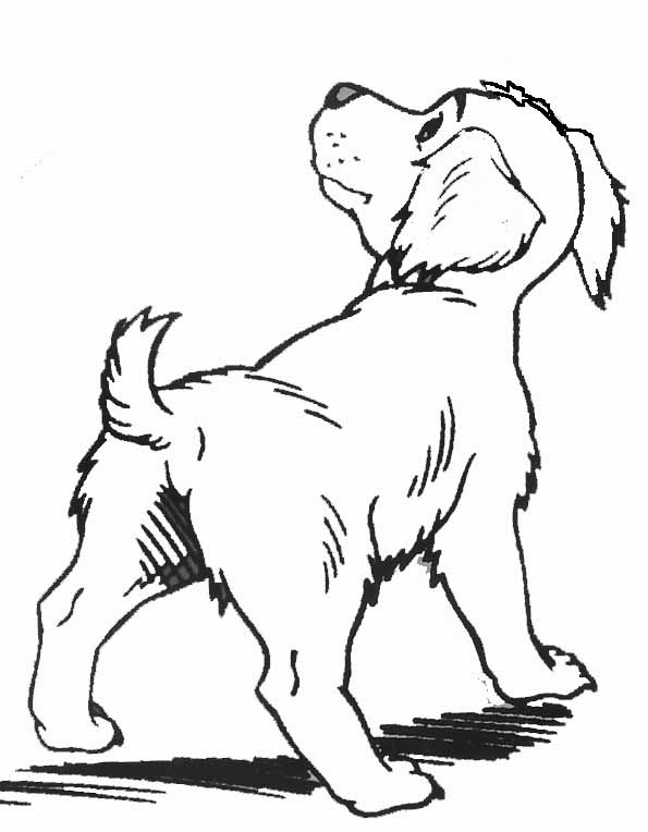 Puppy walking with head raised coloring page Puppy walking with head raised coloring page