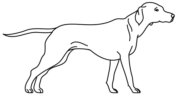 Puppy standing in profile coloring page Puppy standing in profile coloring page