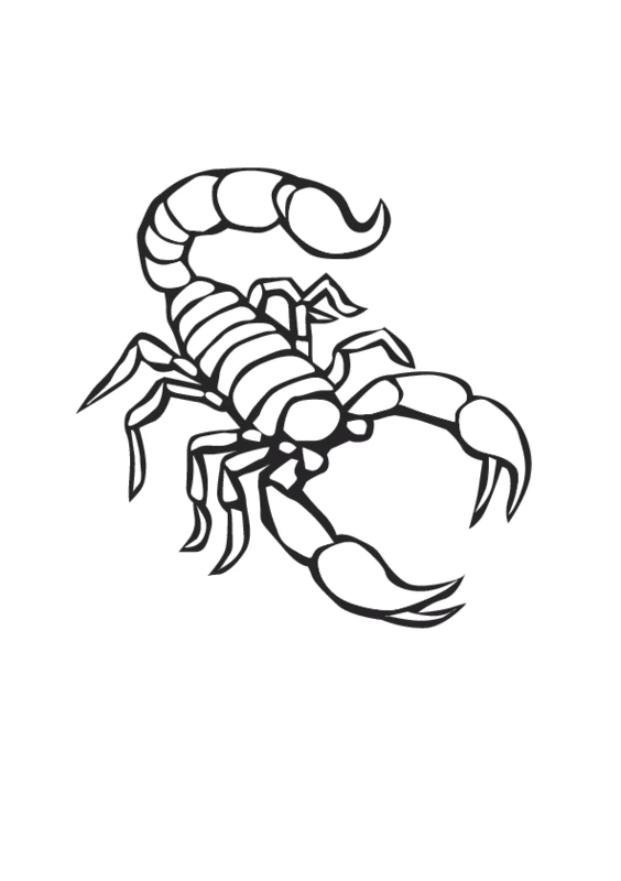Scorpion with raised pincers and curled tail coloring page Scorpion with raised pincers and curled tail coloring page