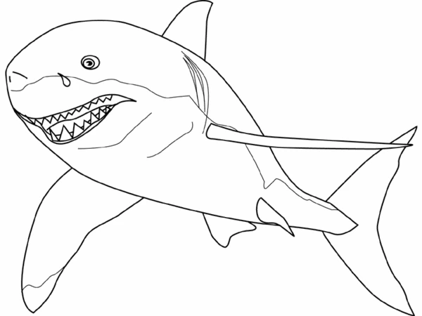 Shark with open jaws showing sharp teeth coloring page