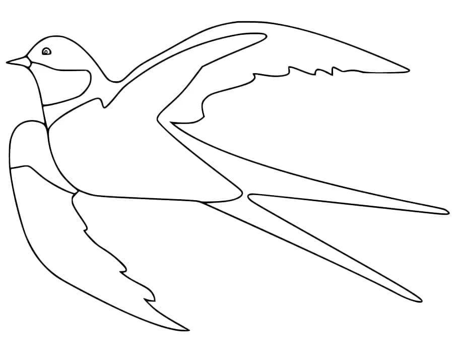 Swallow in flight with wings spread coloring page