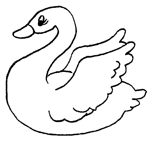 Swan with wing raised coloring page