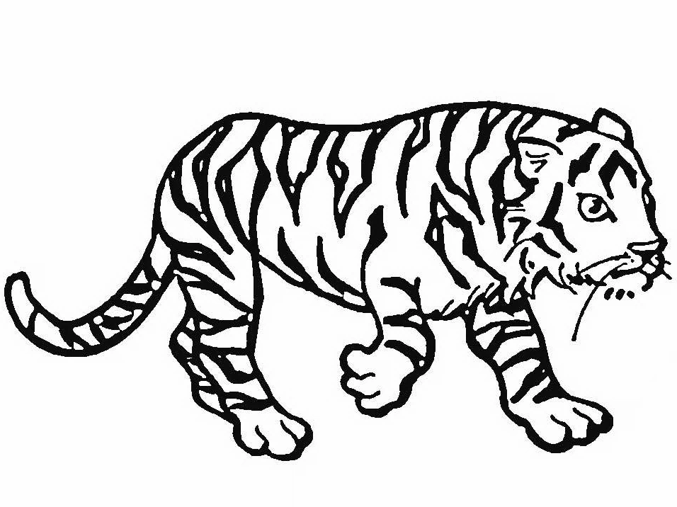 Tiger walking with stripes coloring page