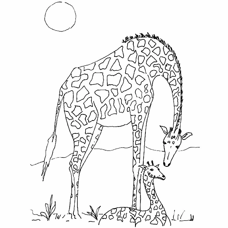 Giraffe mother and calf in the savannah coloring page
