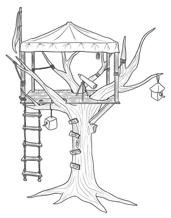 Treehouse with telescope and birdhouse coloring page