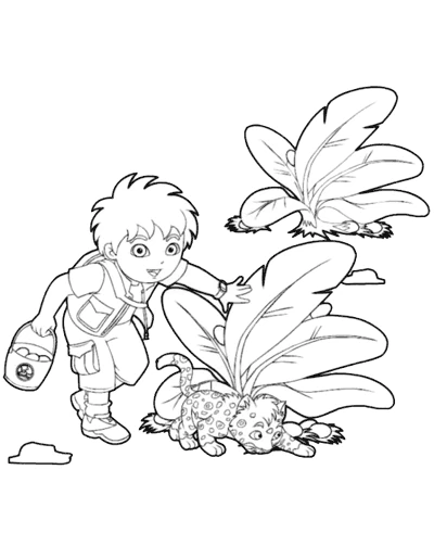 Diego watching baby jaguars hide behind leaves coloring page