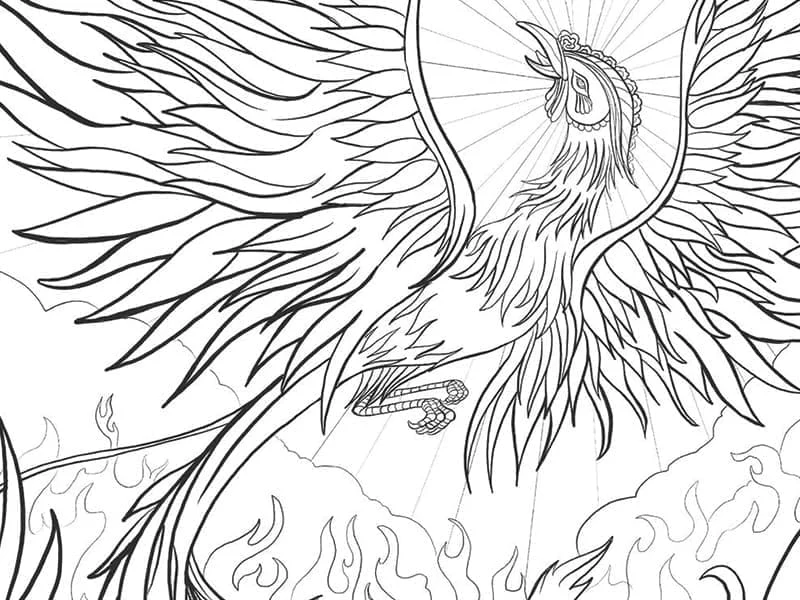 Phoenix rising with wings spread wide coloring page