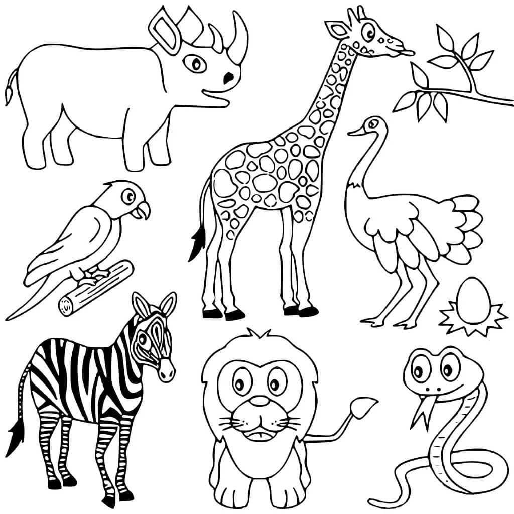 Africa animals collection coloring page