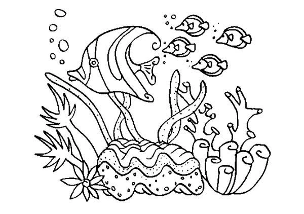 Group of fish swimming over a coral reef coloring page