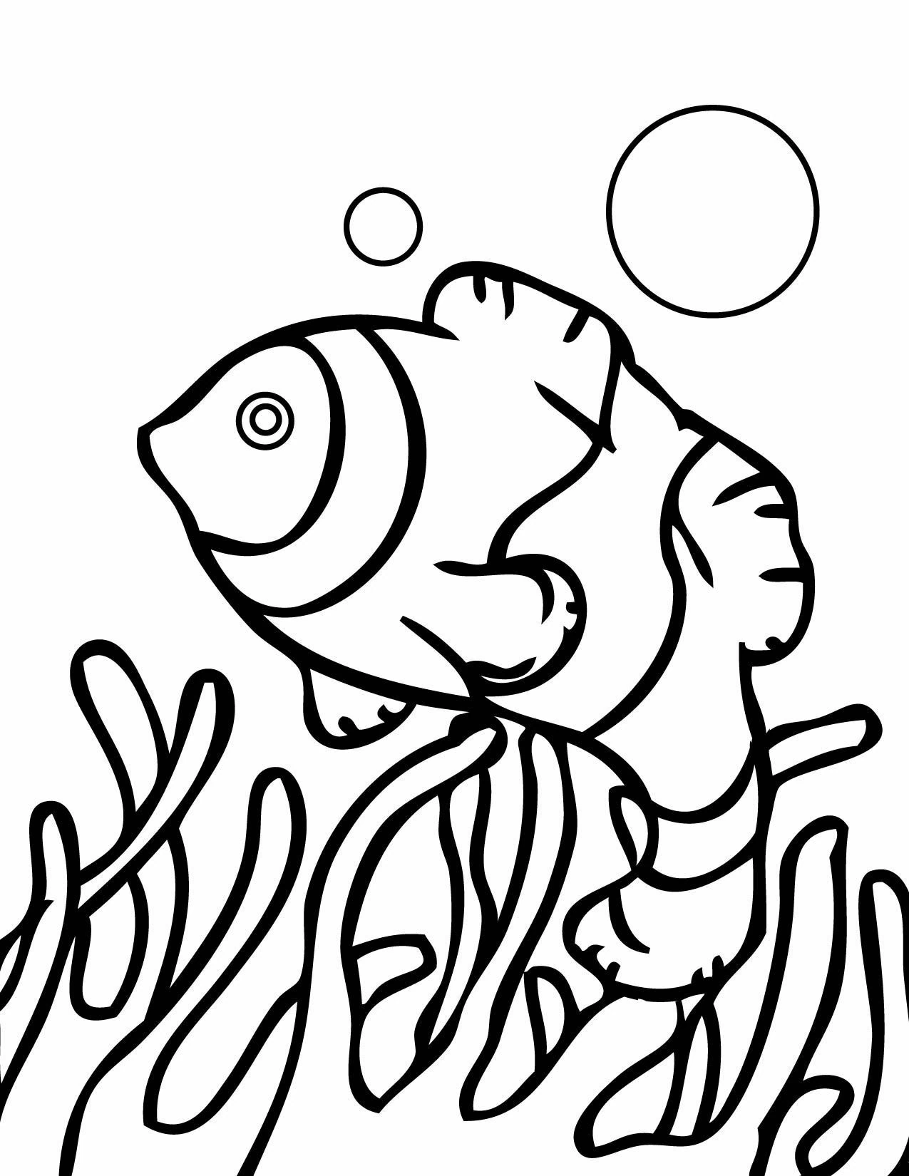 Clownfish swimming above coral coloring page