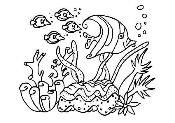 Group of fish swimming in coral reef coloring page