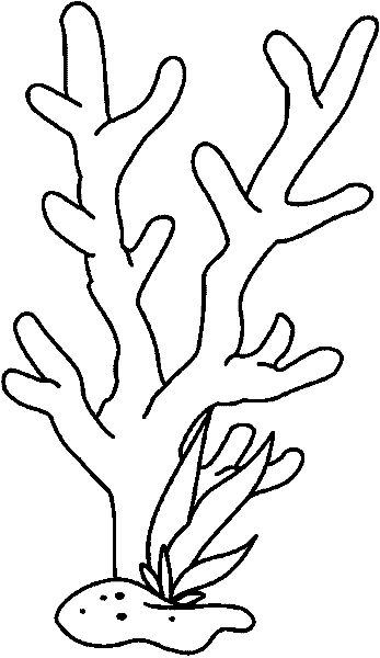 Branching coral on the seabed coloring page