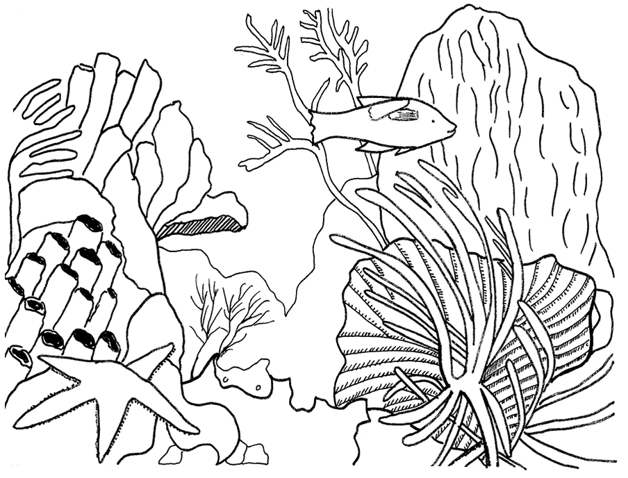 Coral reef scene with fish and starfish coloring page